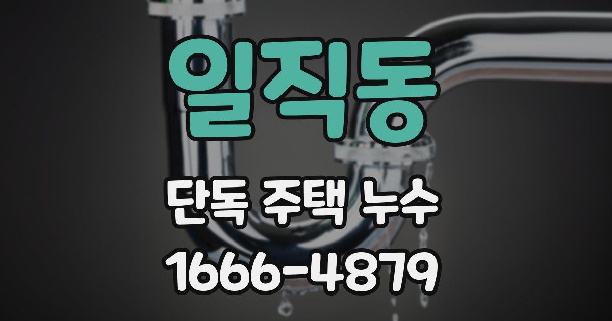일직동 단독 주택 누수
