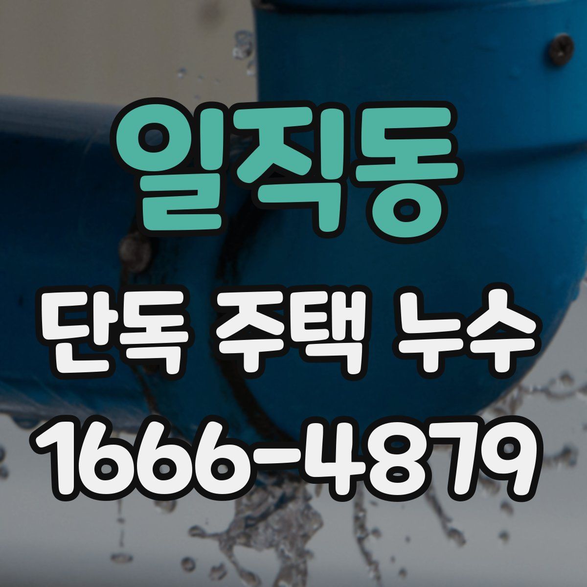 일직동 단독 주택 누수