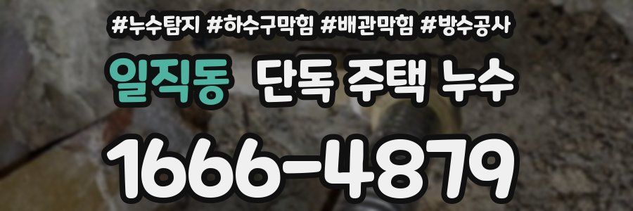 일직동 단독 주택 누수