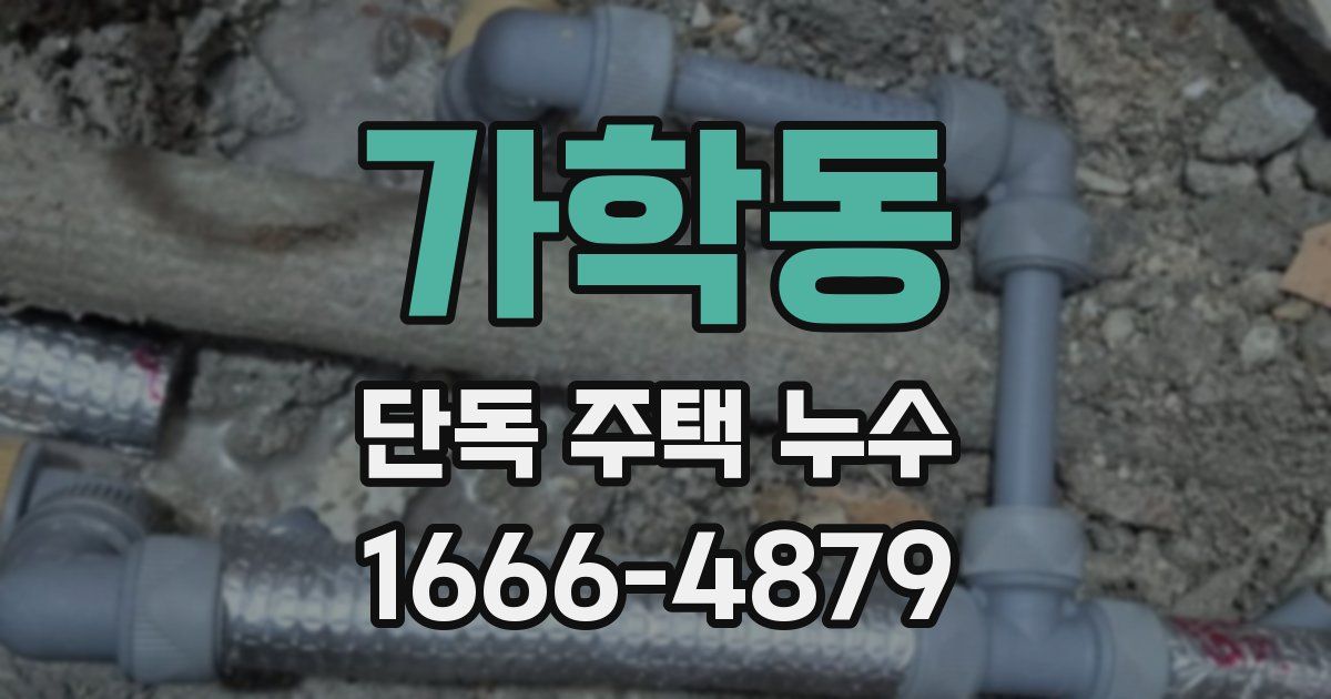가학동 단독 주택 누수