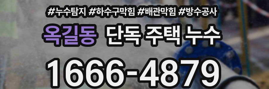 옥길동 단독 주택 누수