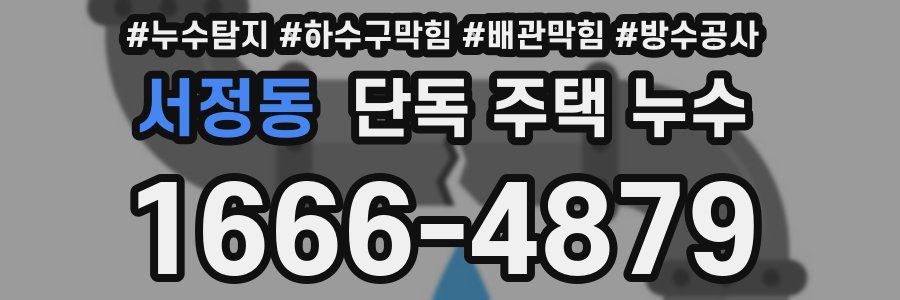 서정동 단독 주택 누수