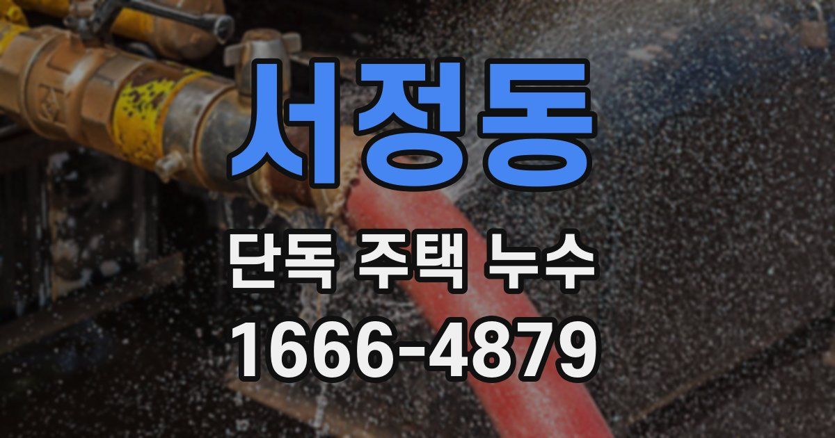 서정동 단독 주택 누수