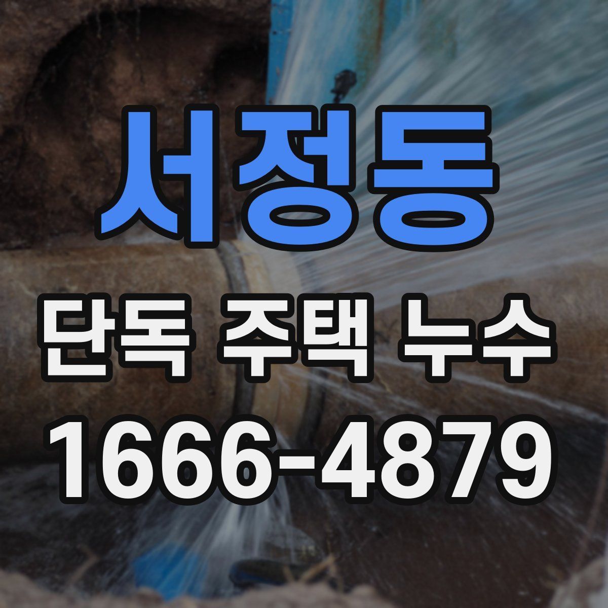 서정동 단독 주택 누수