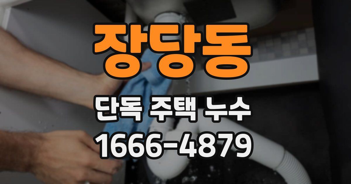 장당동 단독 주택 누수