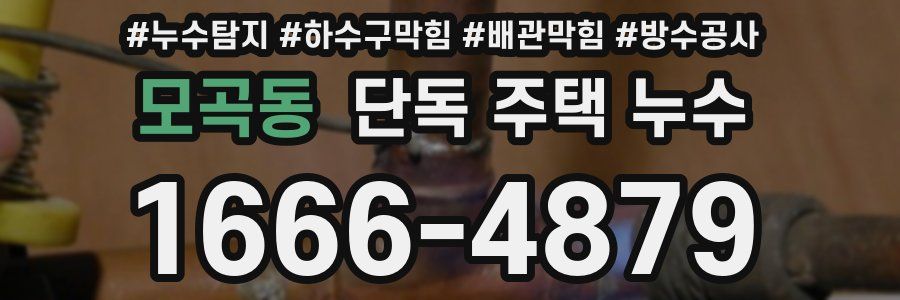 모곡동 단독 주택 누수