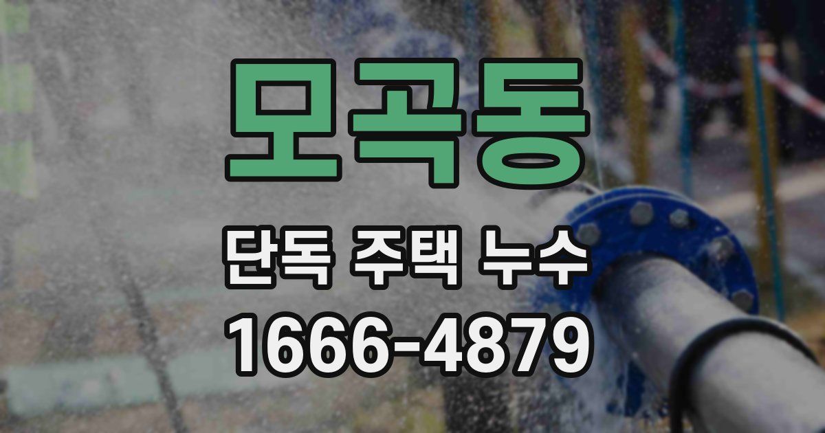 모곡동 단독 주택 누수