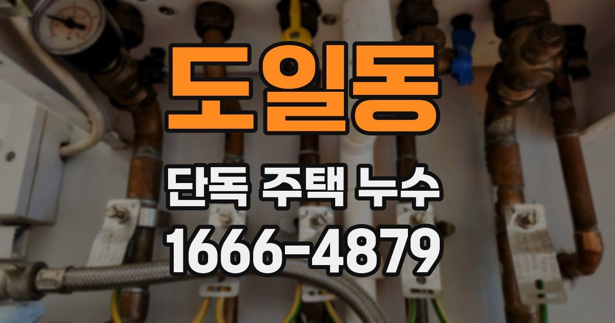 도일동 단독 주택 누수
