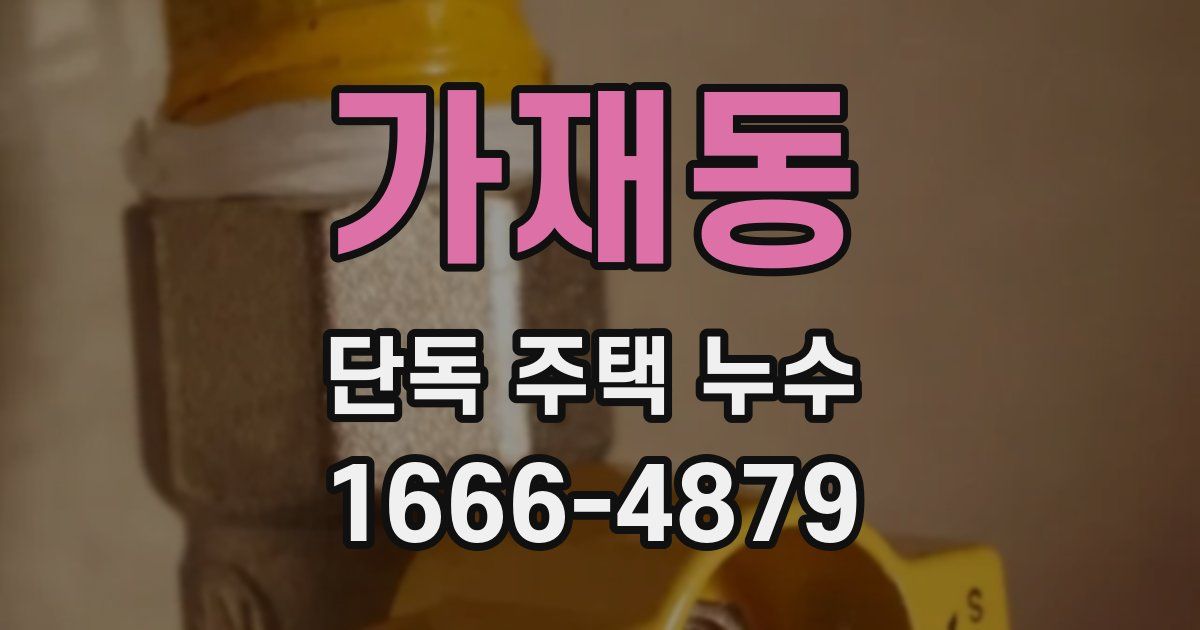 가재동 단독 주택 누수