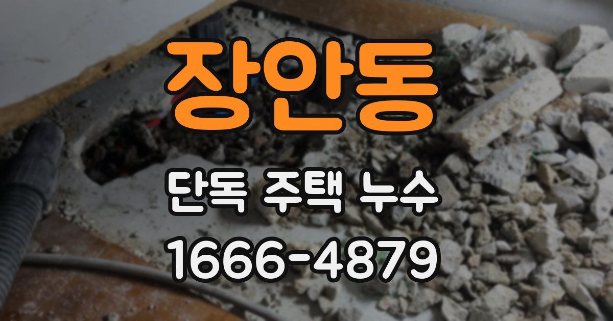 장안동 단독 주택 누수