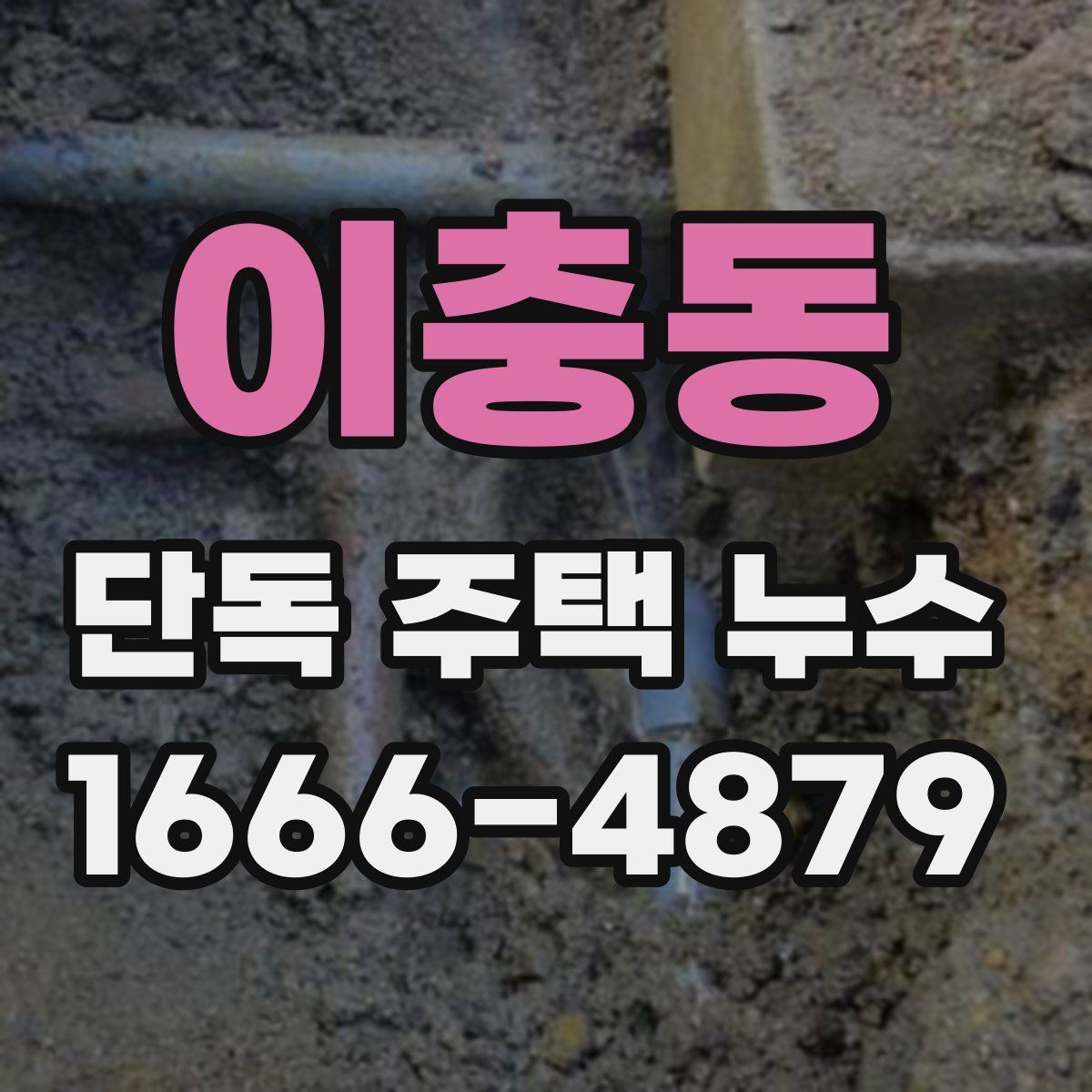 이충동 단독 주택 누수