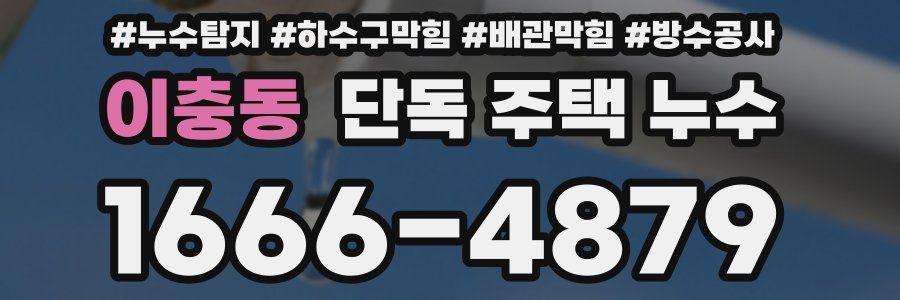 이충동 단독 주택 누수