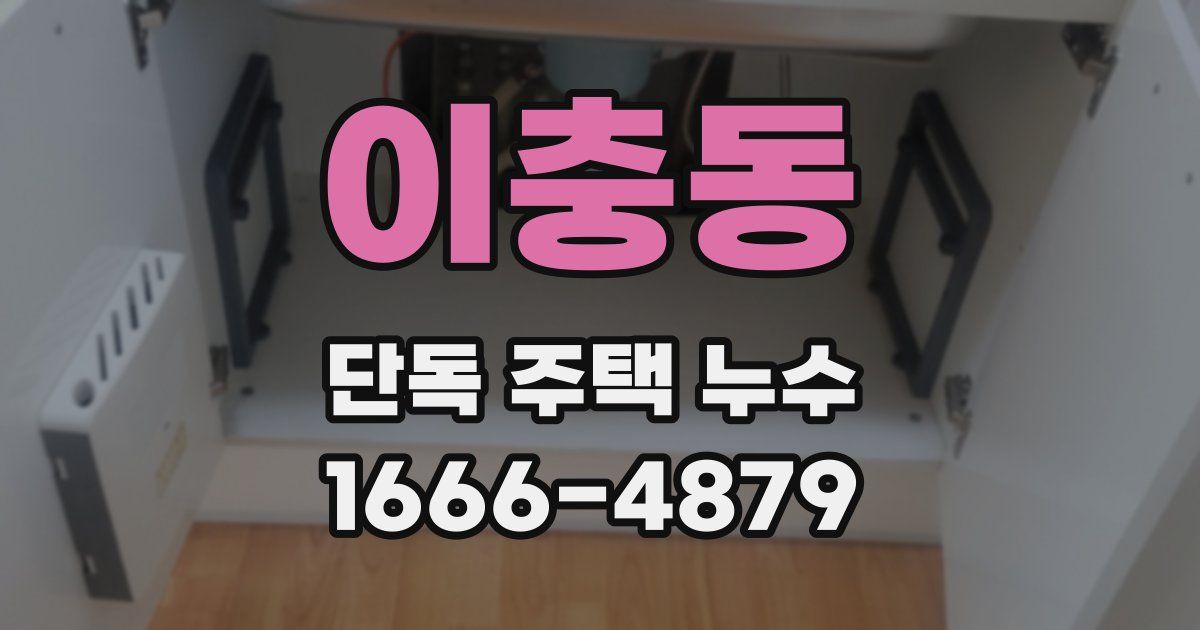 이충동 단독 주택 누수