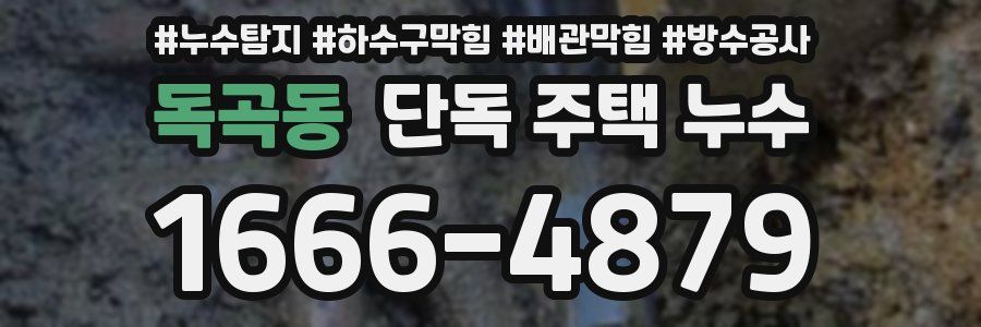 독곡동 단독 주택 누수
