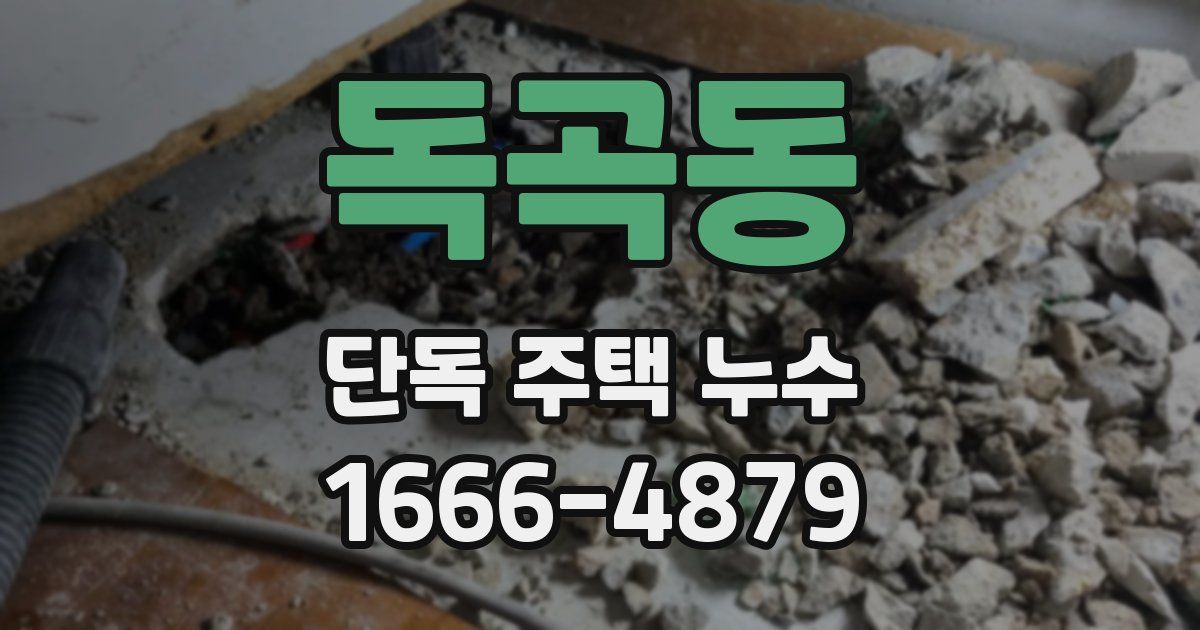 독곡동 단독 주택 누수