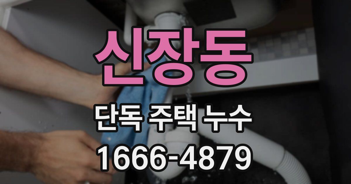 신장동 단독 주택 누수