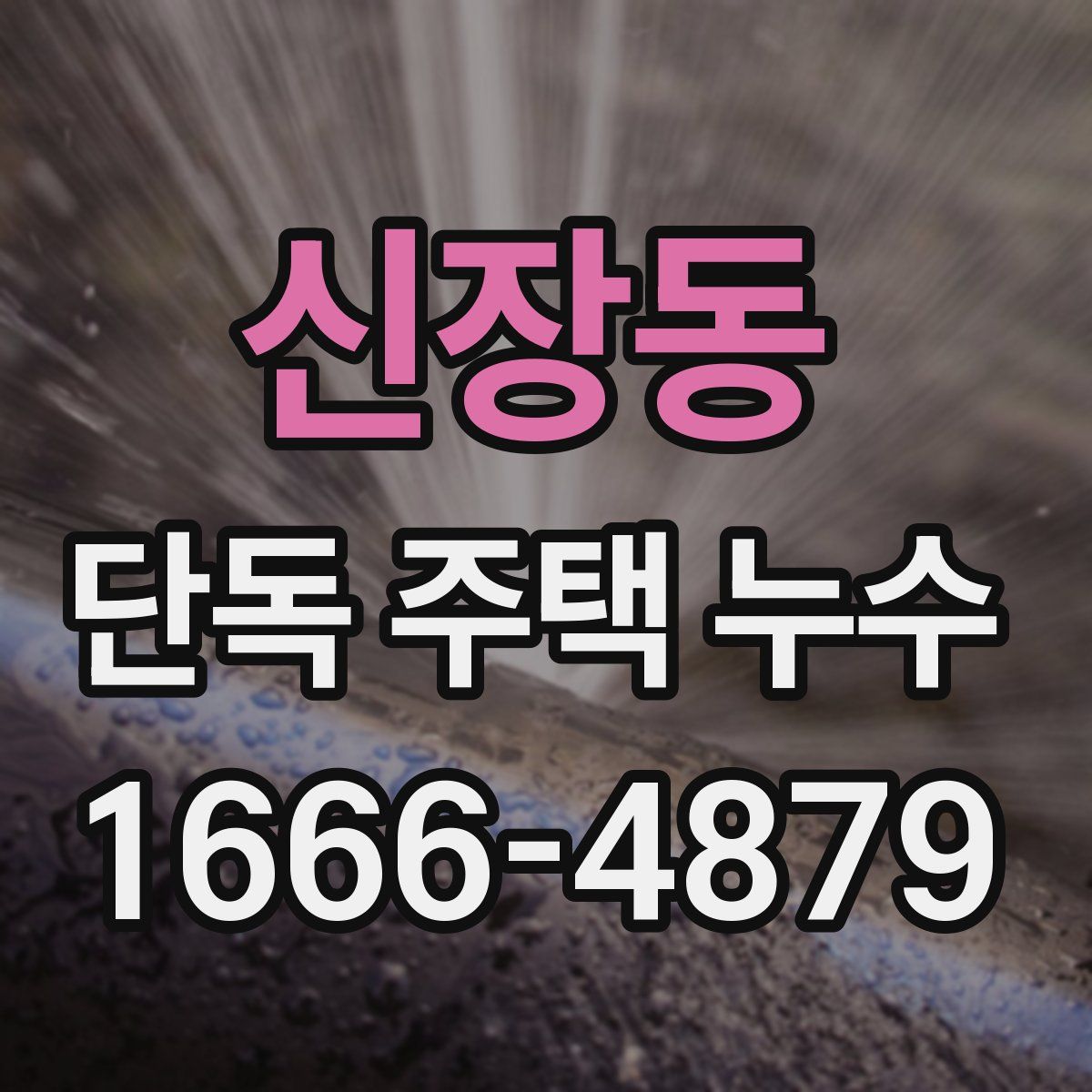 신장동 단독 주택 누수