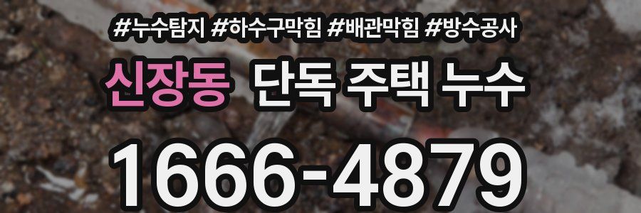 신장동 단독 주택 누수