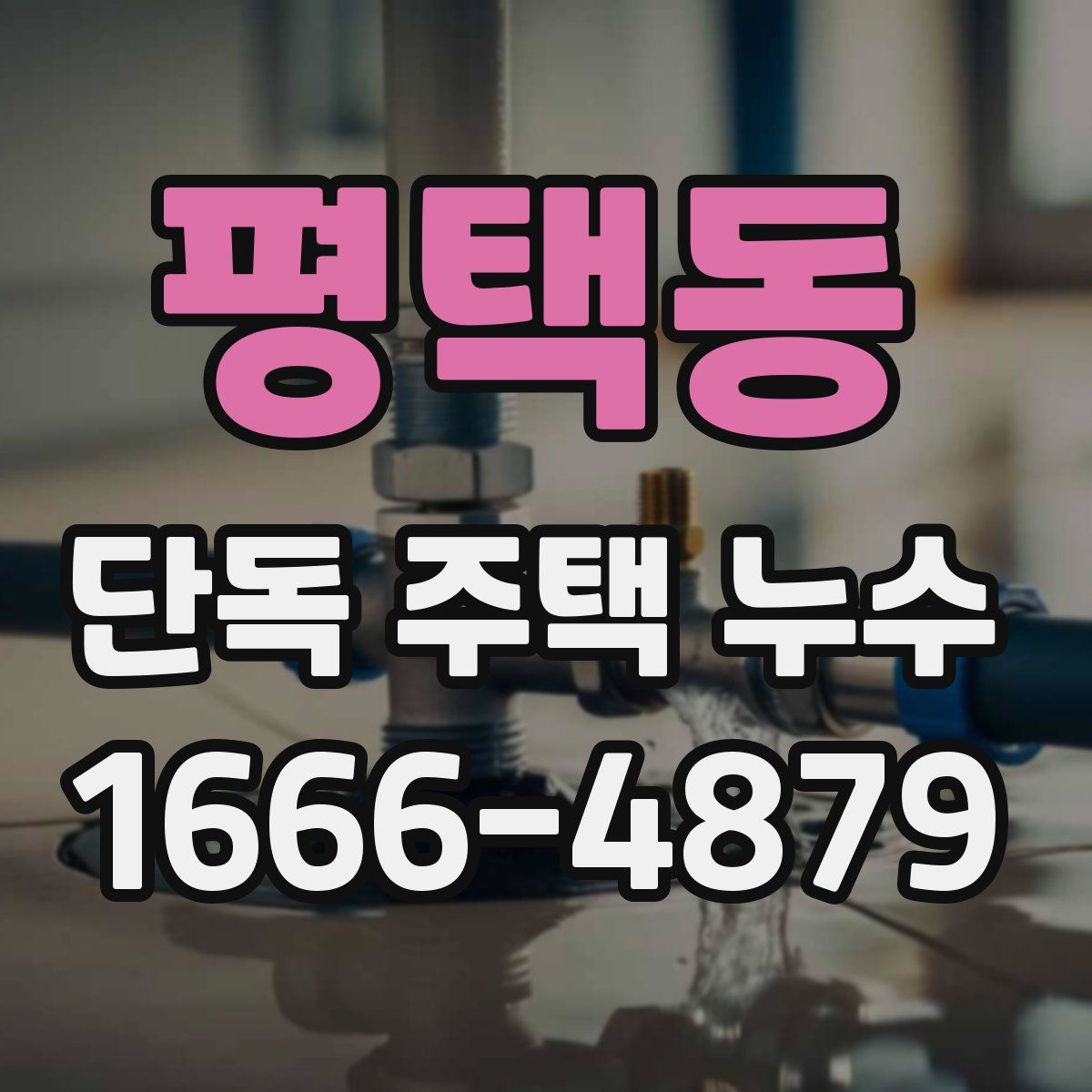 평택동 단독 주택 누수