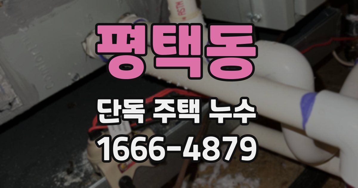 평택동 단독 주택 누수