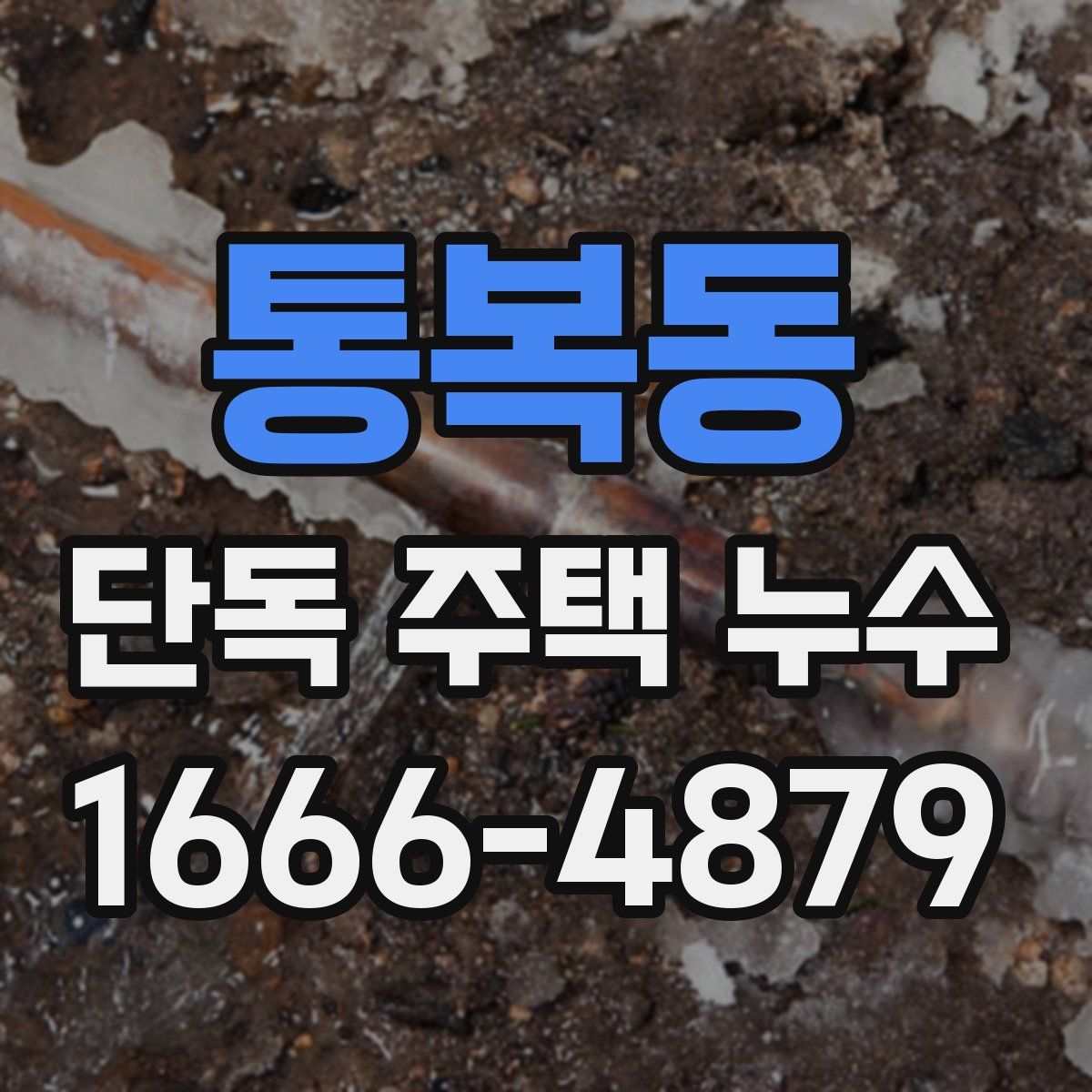 통복동 단독 주택 누수