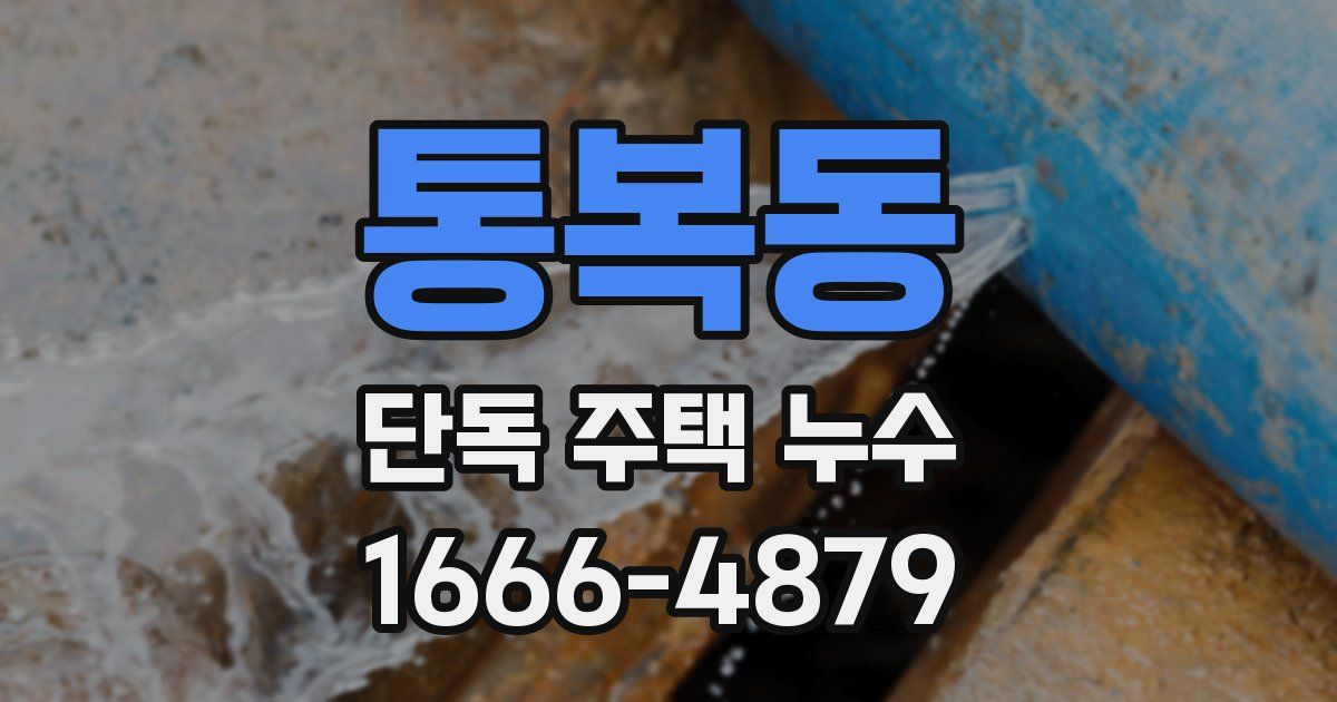 통복동 단독 주택 누수