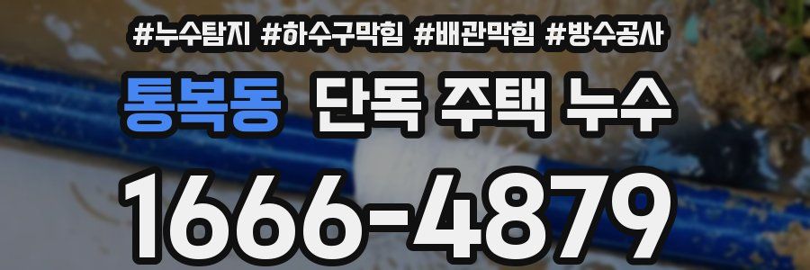 통복동 단독 주택 누수