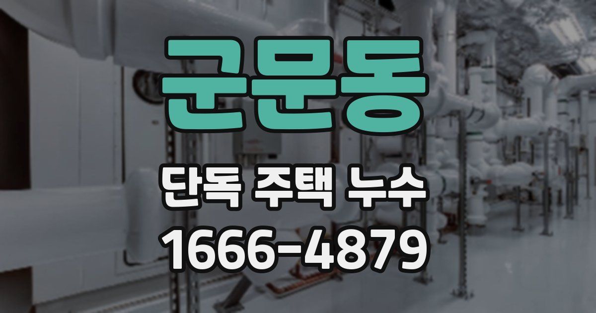 군문동 단독 주택 누수