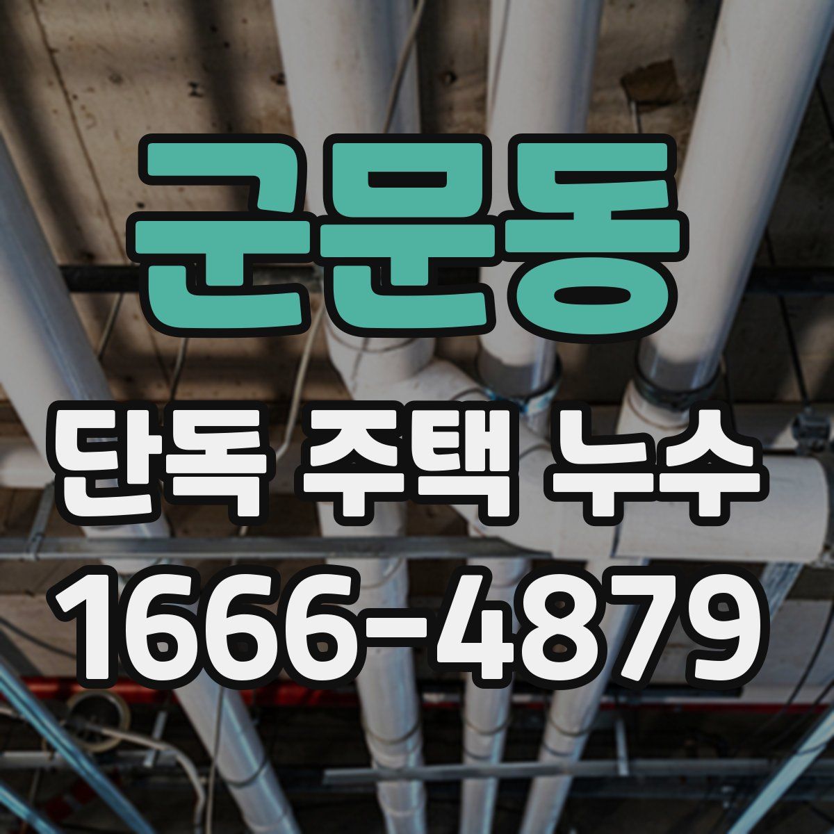 군문동 단독 주택 누수