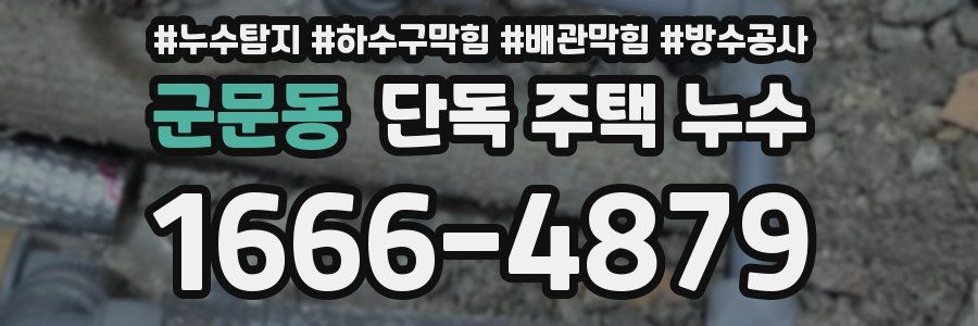 군문동 단독 주택 누수