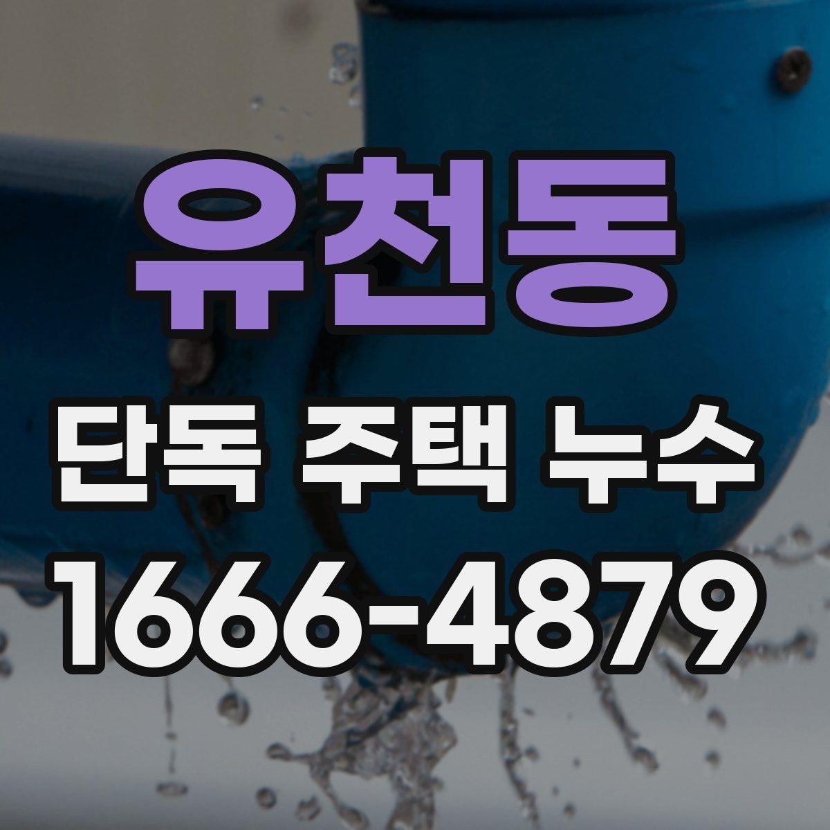 유천동 단독 주택 누수 관련 살펴볼 항목을 한눈에
