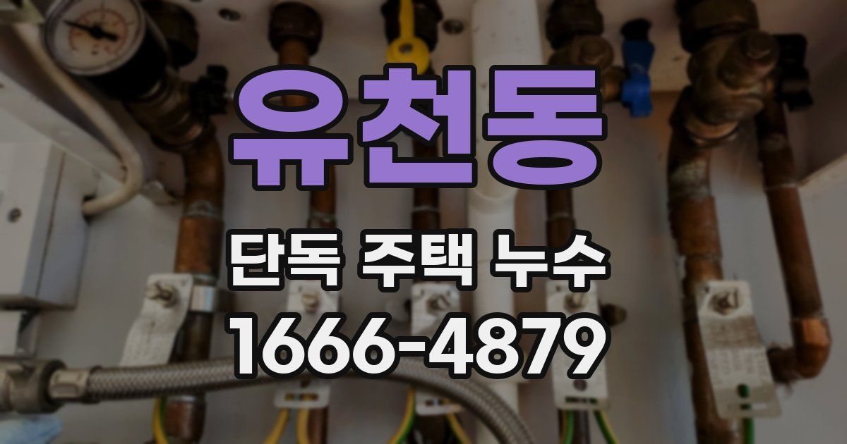 유천동 단독 주택 누수
