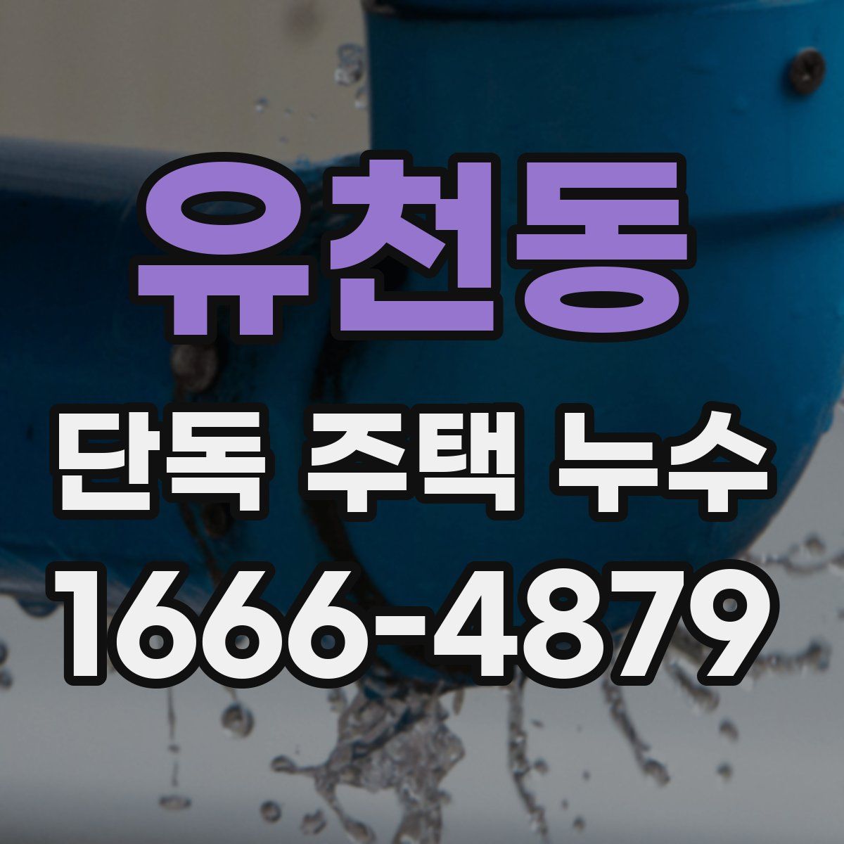 유천동 단독 주택 누수