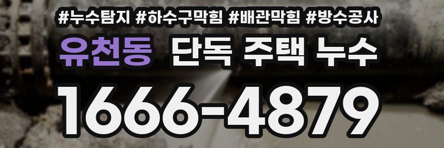 유천동 단독 주택 누수
