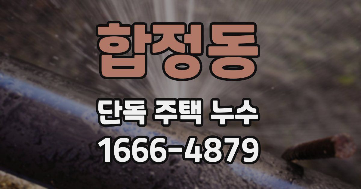 합정동 단독 주택 누수