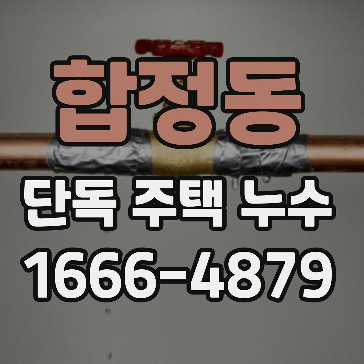 합정동 단독 주택 누수