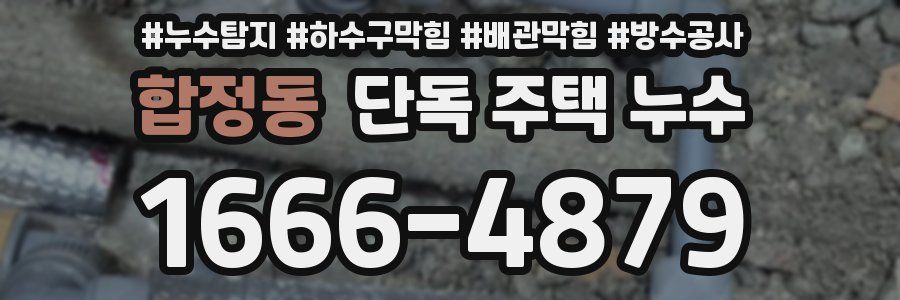 합정동 단독 주택 누수