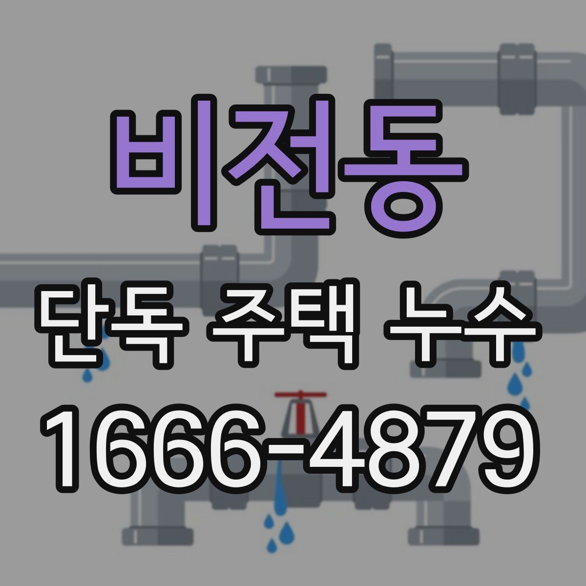 비전동 단독 주택 누수