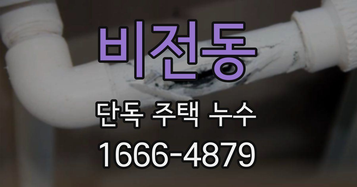 비전동 단독 주택 누수