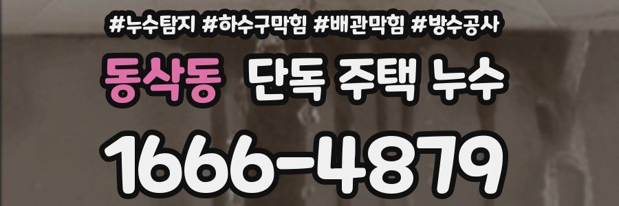 동삭동 단독 주택 누수