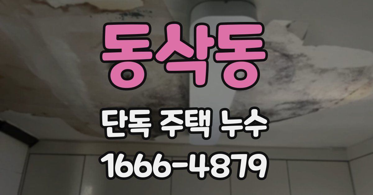 동삭동 단독 주택 누수