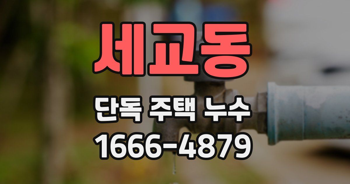 세교동 단독 주택 누수