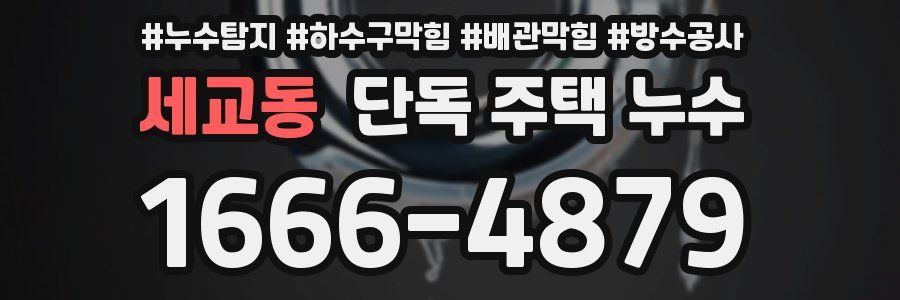 세교동 단독 주택 누수