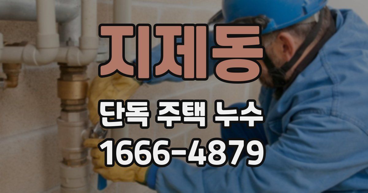 지제동 단독 주택 누수