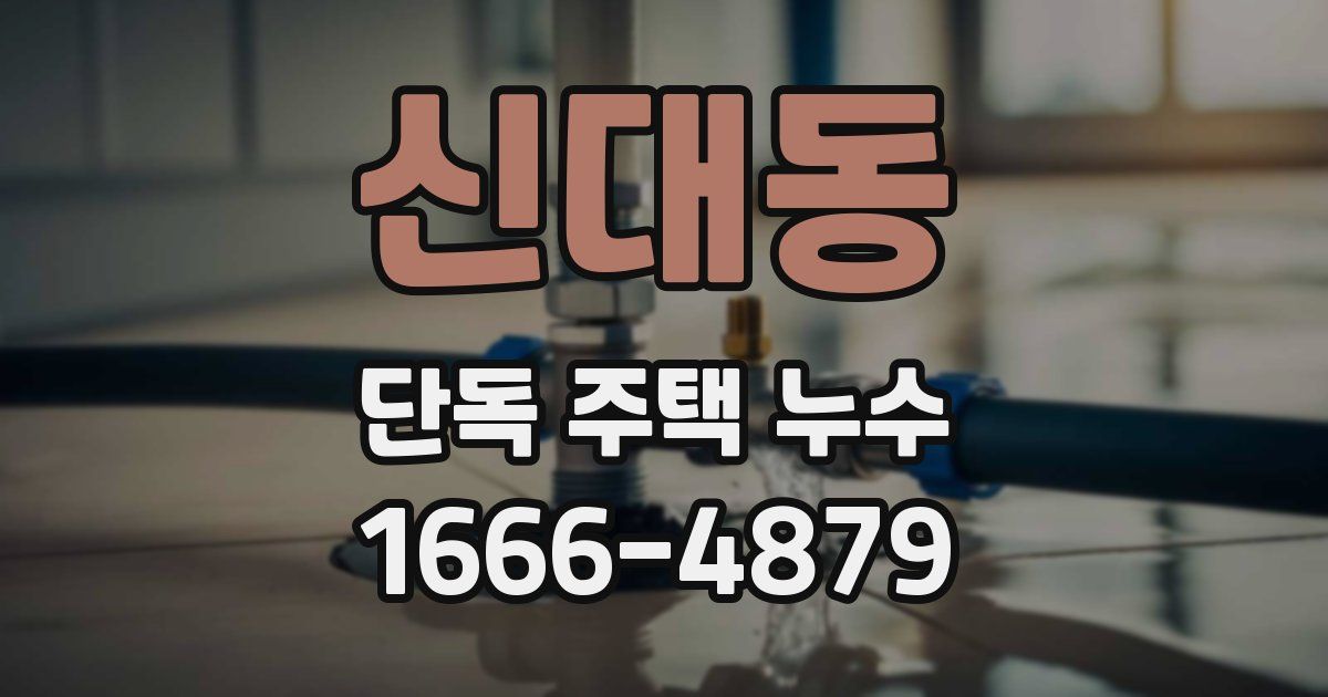 신대동 단독 주택 누수