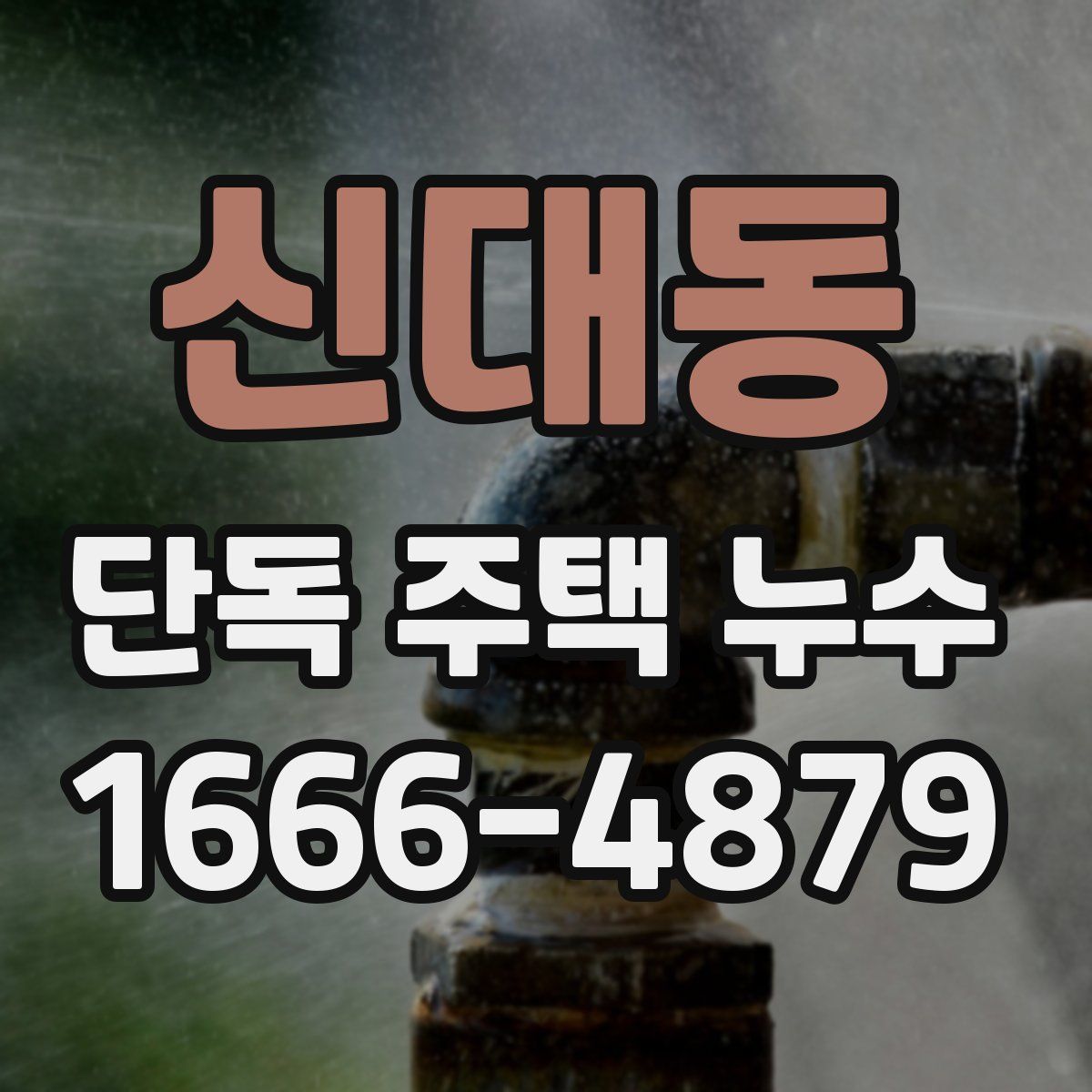 신대동 단독 주택 누수