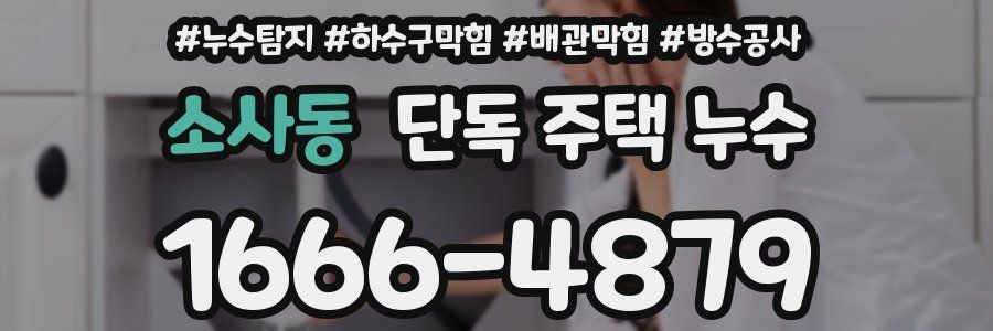 소사동 단독 주택 누수