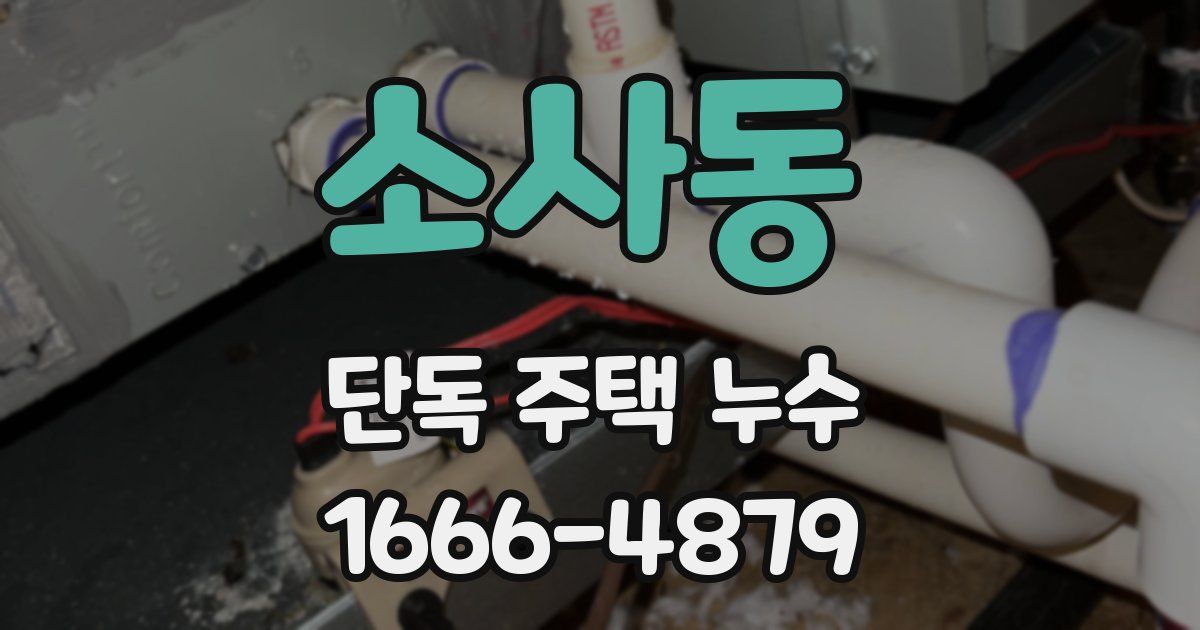 소사동 단독 주택 누수