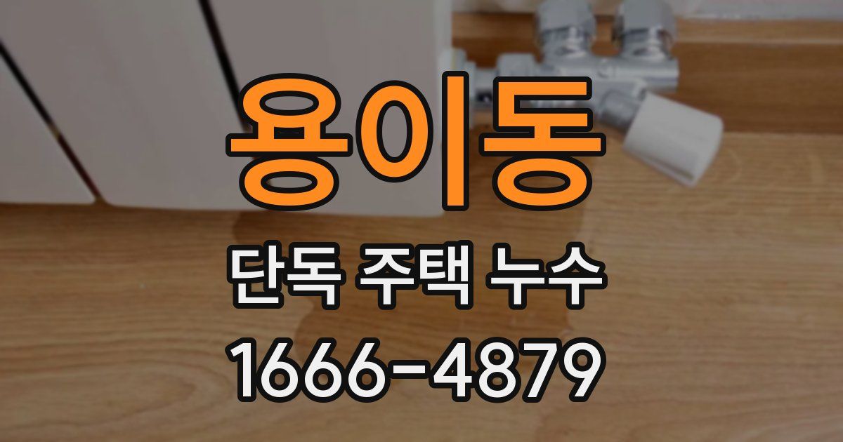 용이동 단독 주택 누수