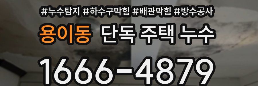 용이동 단독 주택 누수